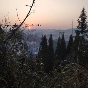 沈嬢嬢爱表演 头像