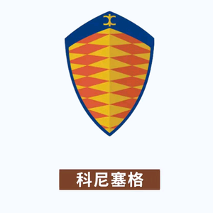 轩仔说车头像