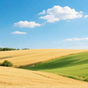 大道无形521 头像