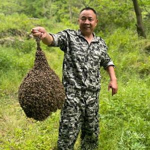 土蜜哥蜂蜜头像