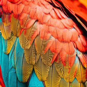 斜阳泪雨666 头像