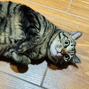 用户4369928436057882 头像