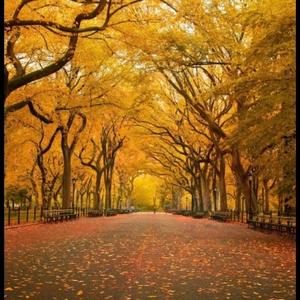 小晗爱看书 头像