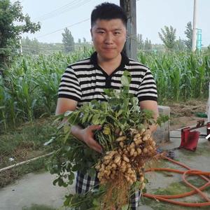 油厂长（山东香达人花生油） 头像