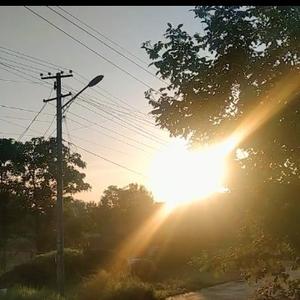 情感社会呀 头像