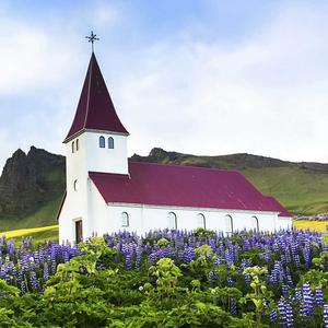 小福星爱旅游 头像