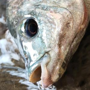 夜钓老男神 头像