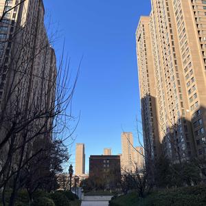 月季美却扎人？这些必入的无刺品种，颜值高不扎手 - 今日头条