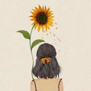 落日成晖