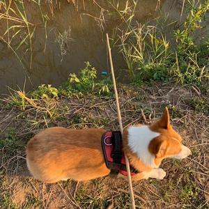 木子暉钓鱼 头像