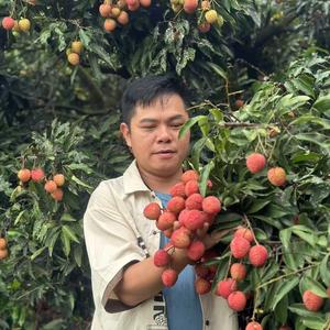 俊杰果香汇水果 头像