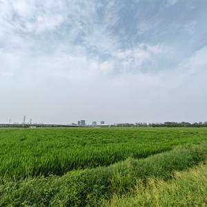 小酌怡情呢 头像