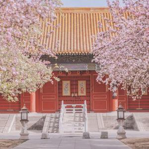 无无明亦无无明尽 头像