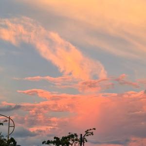 骨科梁教授 头像