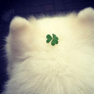 AI不知道的冷知识 头像