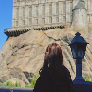 暗黑策展喵 头像