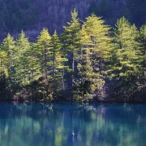 南方霹雳岛