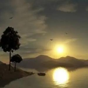 聚资成迅海 头像