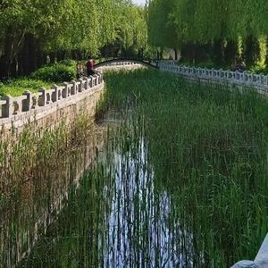 风趣的儒风 头像