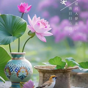 一轮明月皎洁如水 头像