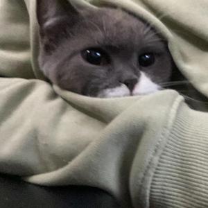 巅峰极速科科I 头像