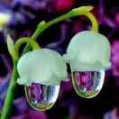 小杨聊生活 头像