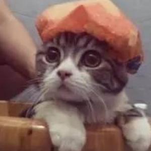 我不想7名 头像