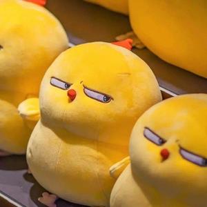 德云资深粉丝 头像