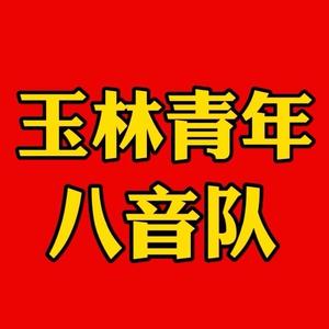 玉林青年八音头像