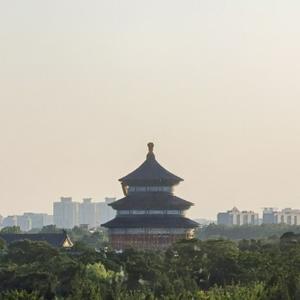 雪原 头像