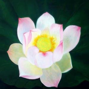 高中数学优生课堂 头像