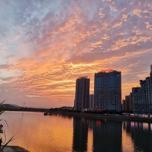 啊条5 头像