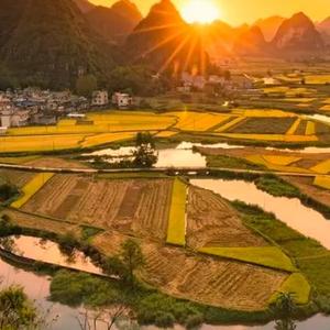 生活林妹妹 头像