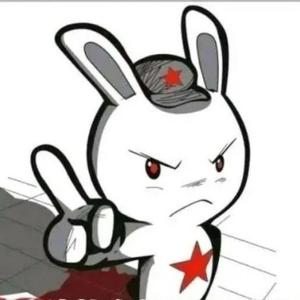 大菊花看世界 头像