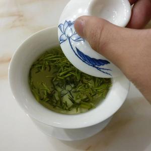 茶人小赵头像