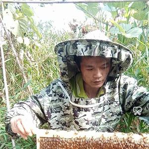 老成中蜂养殖 头像