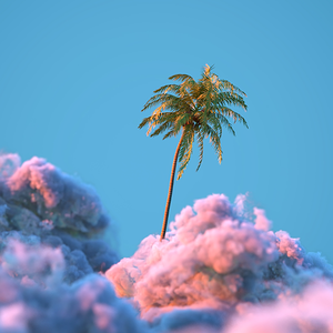 细心凯利0k7 头像