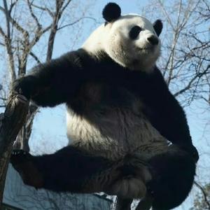 crystal的碎碎念 头像