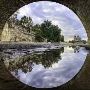 林畔有话说 头像