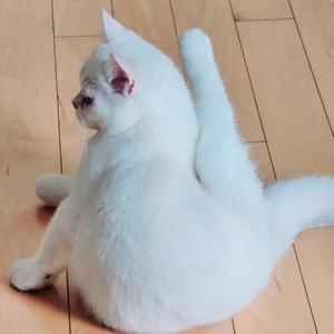 《凡人修仙传》原著党狂喜！终于等到了人界真女主银月出场！ - 今日头条