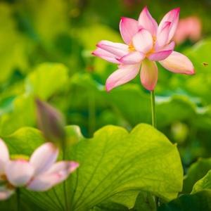 自在河流0y4 头像