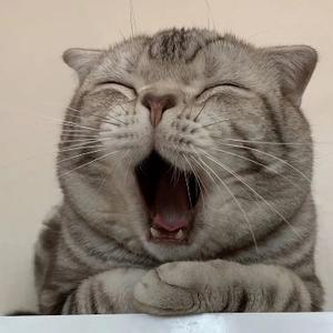 沽酒与何人 头像