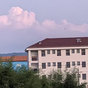 有在好好学习天天向上 头像