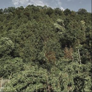 怀而不在念而不得 头像