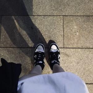 电脑知识网 头像