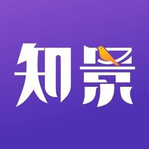 知景大玩家