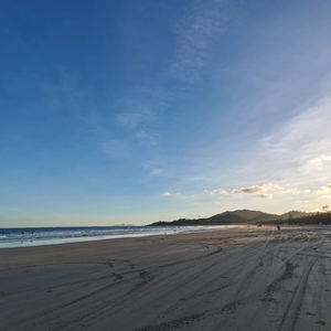 靖菲的美食日记 头像