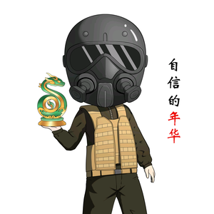 自信的年华（单排卧底） 头像