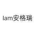 Iam安格瑞头像