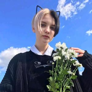 音乐最疯狂 头像